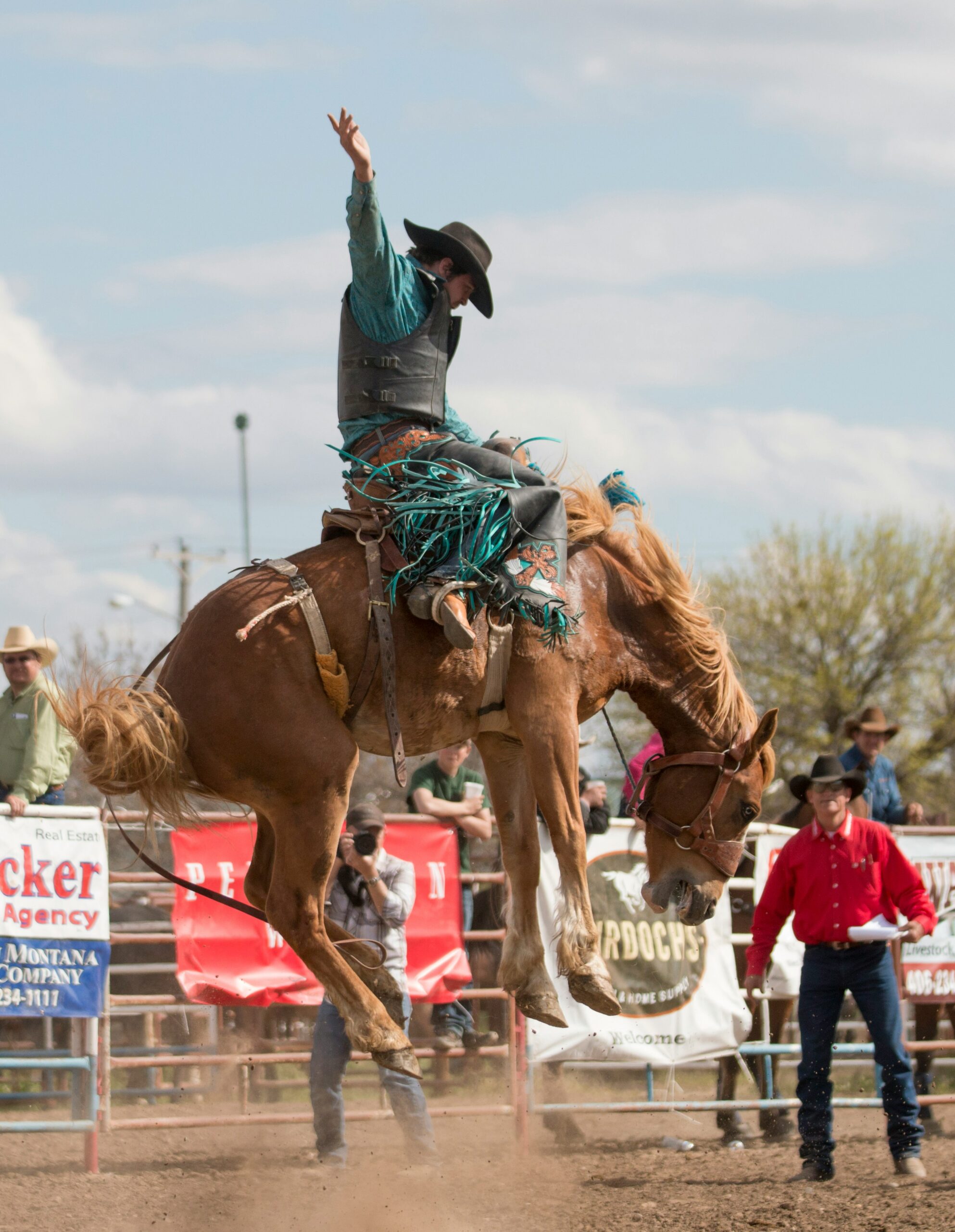 Cowboy riding a bucking bronc in a rodeo.