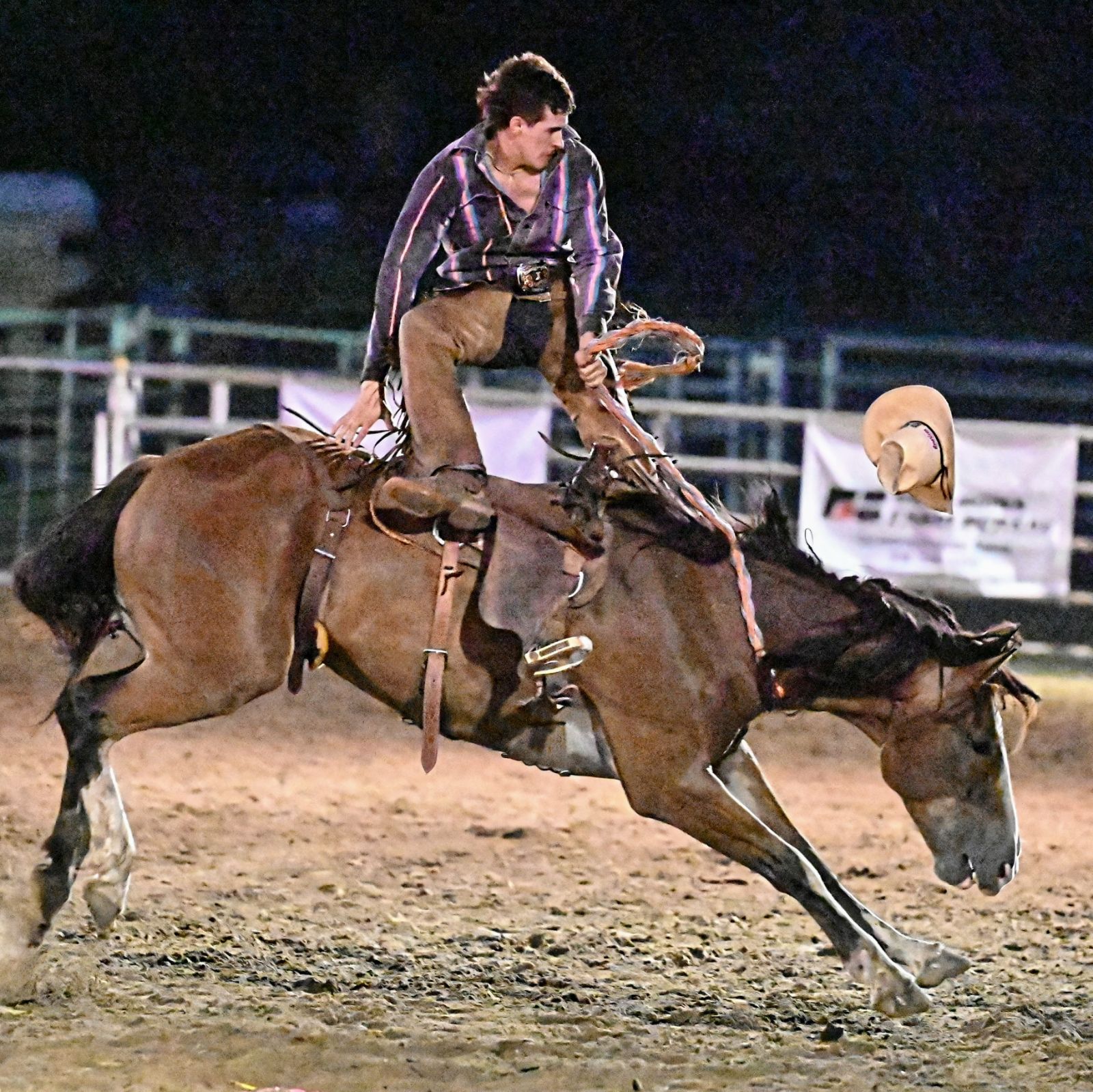 Bronc Riding