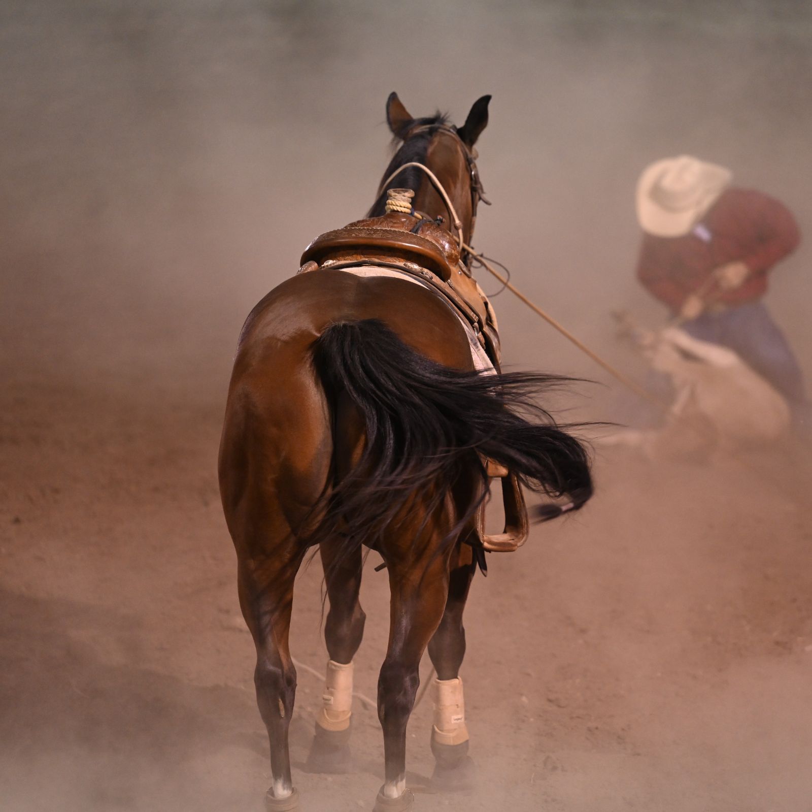 Steer tripping