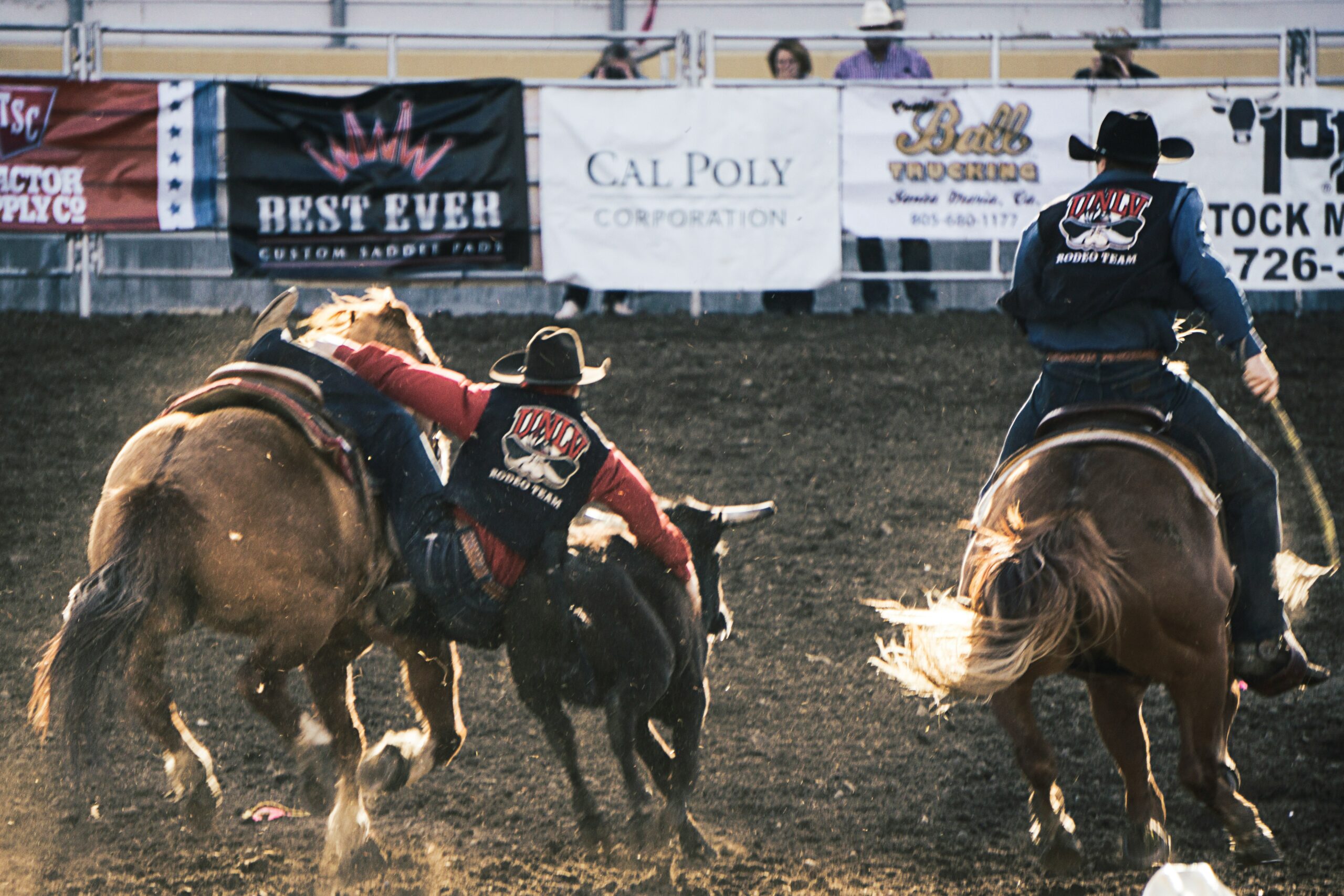 Steer Wrestling Rodeo event in motion.